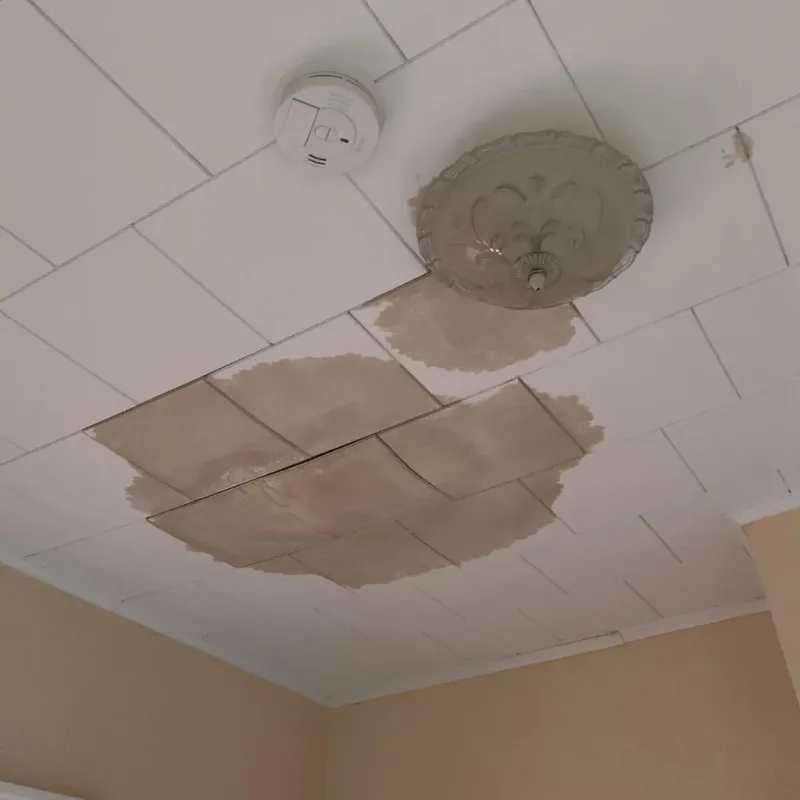 Ceiling Water Damage Repair in Delano, MN